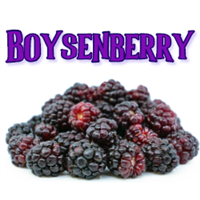 Boysenberry E-Juice