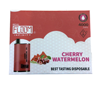 Cherry Watermelon Floom Infinity Disposable | MOQ 5pc | 4000 Puffs