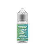 Frozen Cantaloupe | Spinmix Salt | 30mL