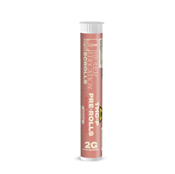 Higher Education Scrolls THCP Prerolls 2G -1CT