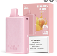 Peach HorizonTech â€“ Binaries Cabin Disposable