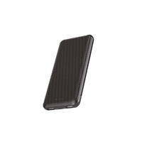Pivoi 10000mAh Power Bank with Dual USB Port