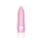 Strawberry Watermelon Ice Puff Air Mesh | MOQ 10pc | 3000 Puffs | 8mL
